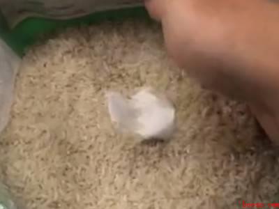 怎么防止米桶里生虫子（花椒怎么防止米桶里生虫子）