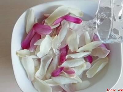 玉兰花怎么做好吃