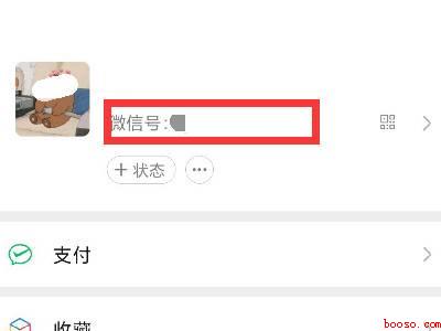 改微信号（演示机型:Iphone 12）