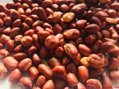 空气炸锅怎么炸花生米