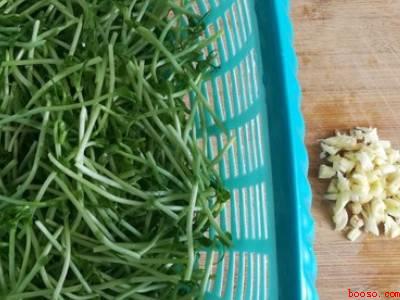 柳蒿芽怎么做好吃