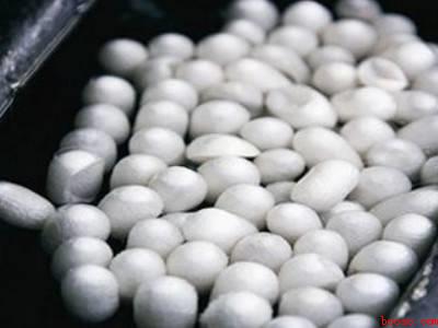 蚕茧怎么抽丝做蚕丝被