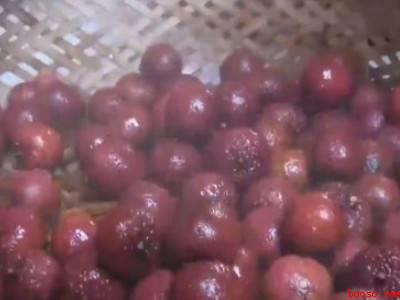 荔枝怎么保存不会坏