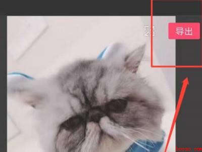 抖音怎么后期配音自己说话（演示机型:Iphone 12）