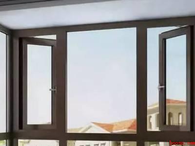 家中出现蝙蝠幼崽怎么办