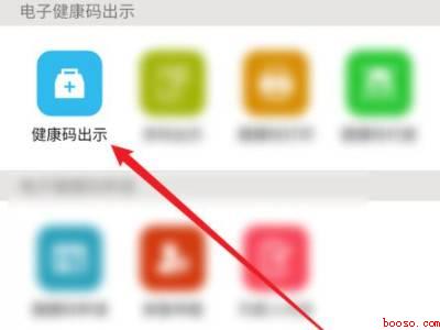 疫苗健康通行码怎么显示（演示机型:Iphone 12）
