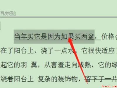 电脑剪切怎么操作