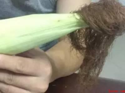 鲜玉米怎么保存到冬天