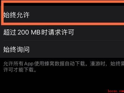 苹果用流量下载大于200m怎么调