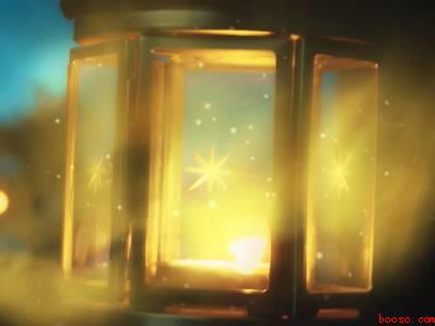 白天如何捕捉甲虫