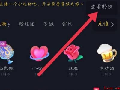 抖音怎么看自己的级别（演示机型:Iphone 13）