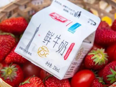 草莓酱可以做什么美食