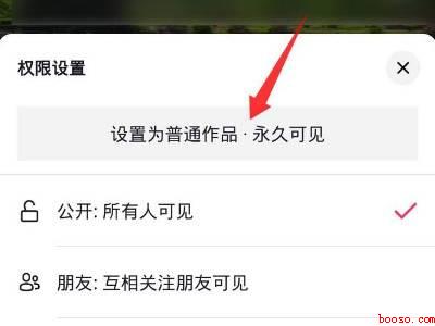 抖音日常可以转永久吗（演示机型:Iphone 12）