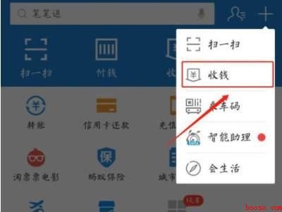 支付宝收款记录在哪里查看（演示机型:Iphone 12）