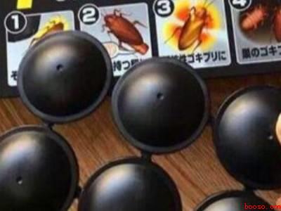 蟑螂屋的正确使用方法