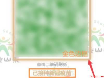 疫苗健康通行码怎么显示（演示机型:Iphone 12）