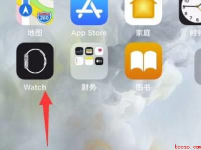 watch还原后配对不了