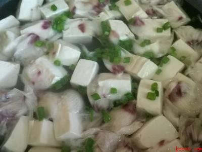 哪种木槿花才可以食用