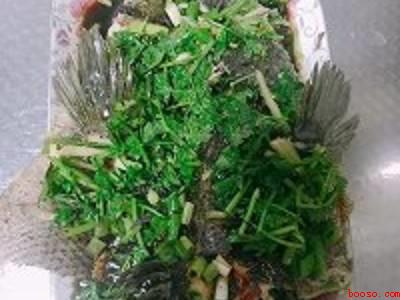火头鱼怎么做好吃
