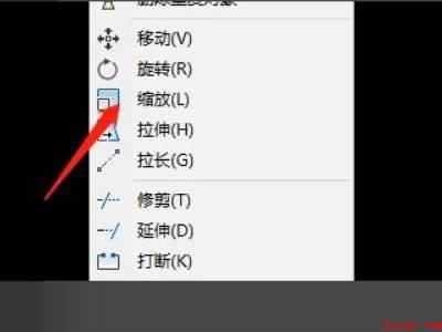 cad怎么随意缩放