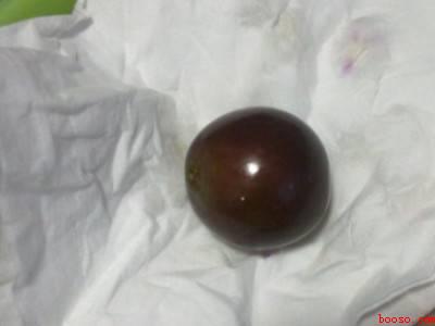 葡萄酒的制作方法需要酒曲吗