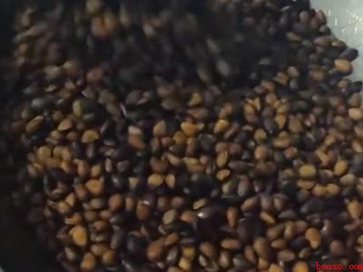 家庭怎样炒松子能开口（炒松子炒开口的方法需要3个步骤,需注意掌握火候）