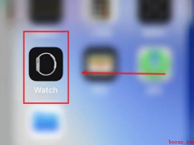 iwatch表盘上显示步数（演示机型:Iphone 12）