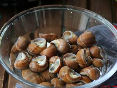 小香螺怎么做好吃