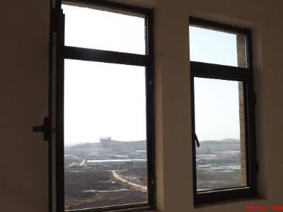 如何灭跳蚤有效