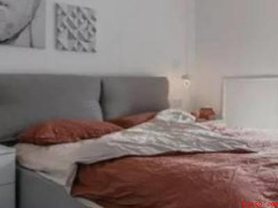 房间有跳蚤怎么消灭