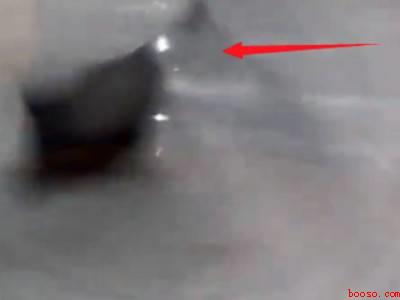 荞麦皮枕头怎么清洗去除螨虫