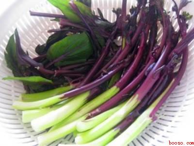 红菜怎么吃