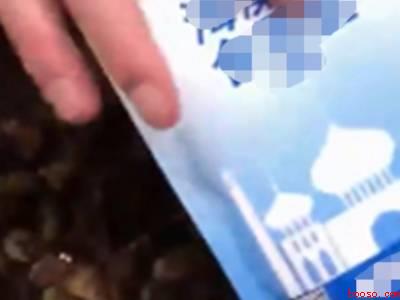 螺蛳怎么剪尾巴妙招