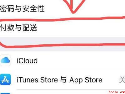苹果手机怎么改成微信支付