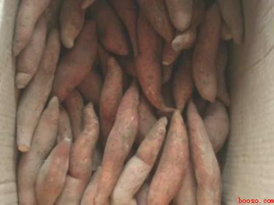 蜜薯怎么做才好吃