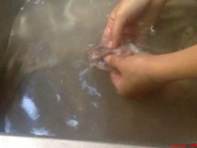 晒鱼干的正确方法