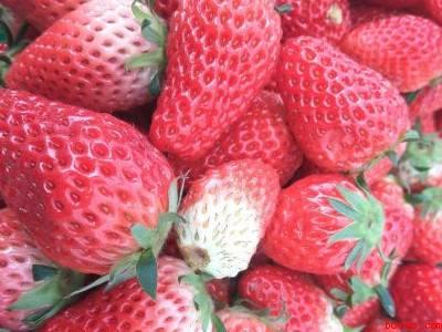 草莓果酒制作方法