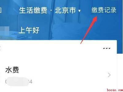 支付宝怎么查电费每月账单（演示机型:Iphone 12）
