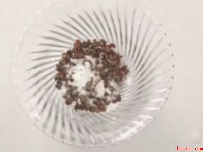 自制驱蚊子小妙招