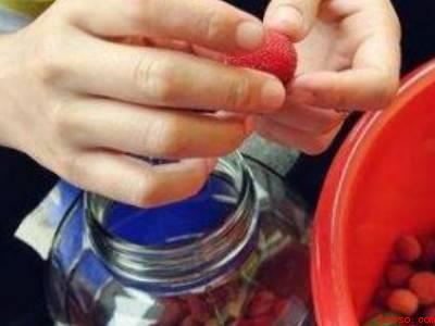 杨梅酒的制作方法步骤比例