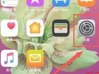 苹果手机itunes（苹果手机itunes store怎么打开的具体操作步骤）