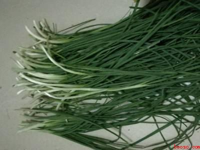 小野蒜怎么做好吃