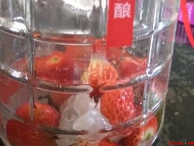 草莓果酒制作方法