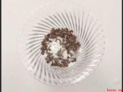 农村蚊子太多怎么消灭