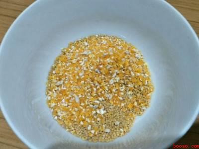 捡到小麻雀怎么处理