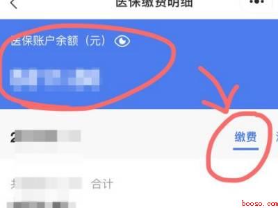 手机上怎么查医保卡余额（演示机型:Iphone 12）