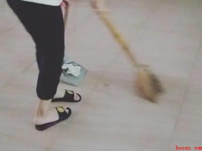 家中出现蝙蝠幼崽怎么办