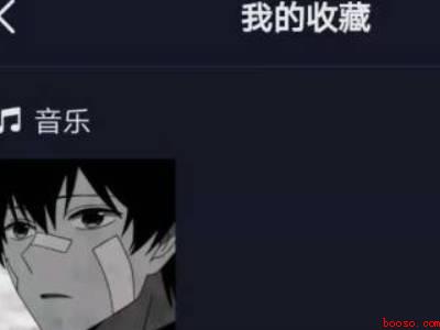 抖音收藏的音乐怎么删除（演示机型:Iphone 13）