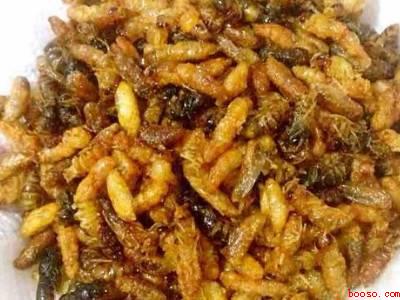 马蜂蛹怎么吃