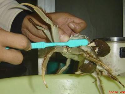 花蟹怎么处理干净